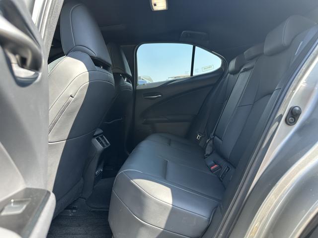 Pre-Owned Lexus UX EV 2020 Model 300e Pure · Joy