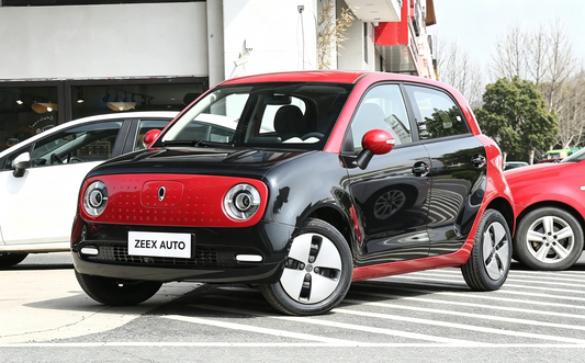 ORA Black Cat 2021 301km Basic Vehicle Profile: Two-Door Four-Seat Urban Electric Micro Car Review