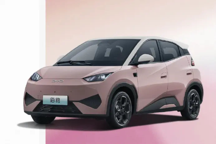 Is BYD Seagull worth buying?