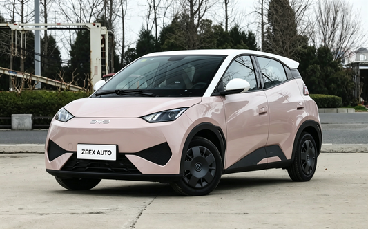 BYD Seagull 2025 305km Smart Driving Version Vehicle Profile: An Affordable EV that offers God's Eye ADAS