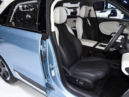 Dongfeng Nanmi CAJA