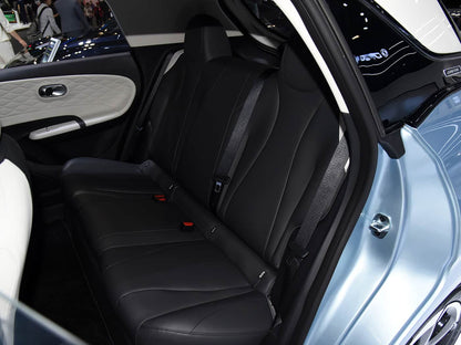 Dongfeng Nanmi CAJA
