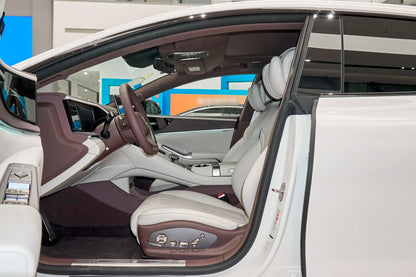 دينزا Z9GT EV