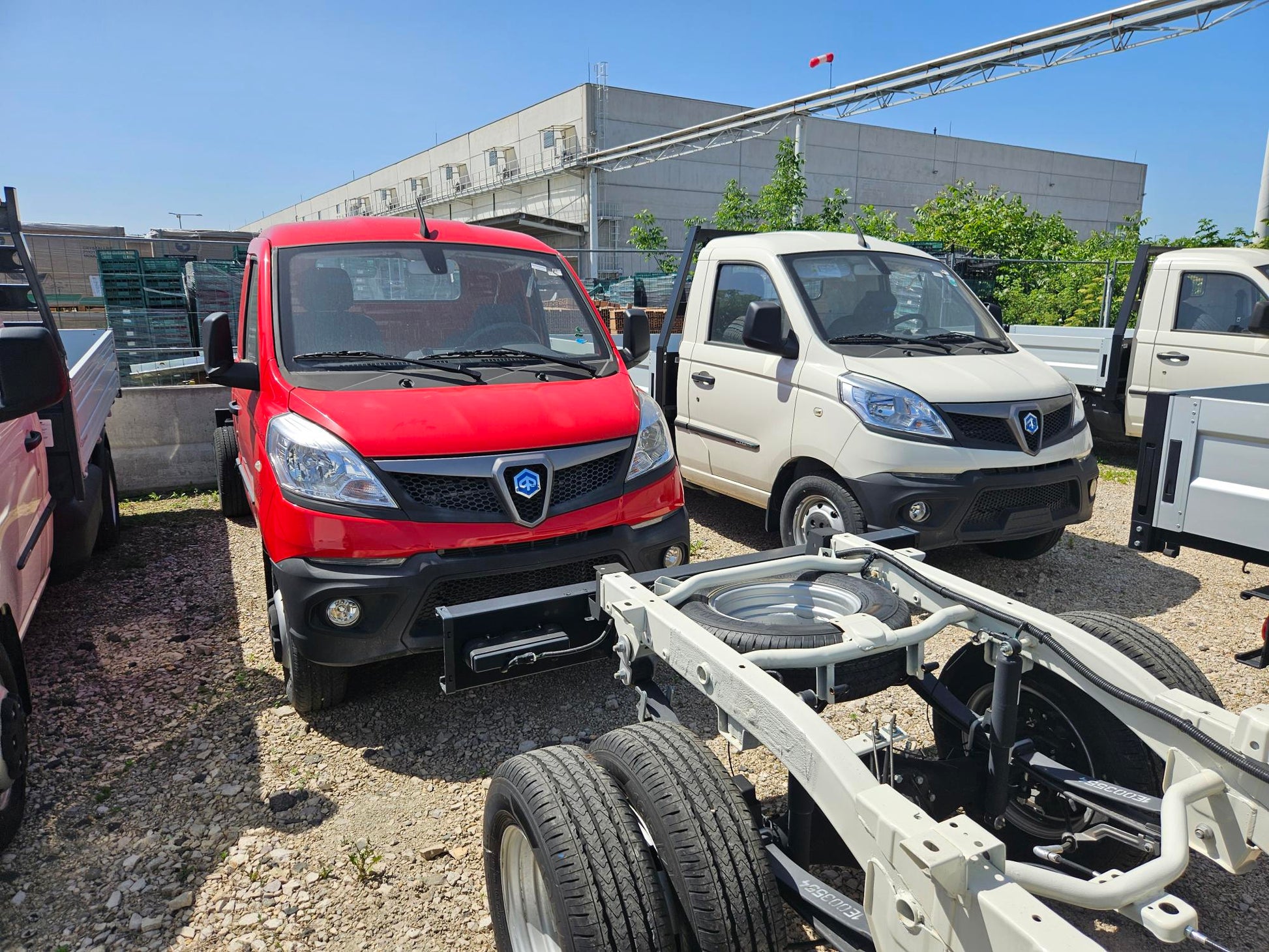 Brand new Piaggio NP6（50% Discount）