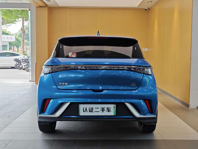 دولفين 2021 إصدار نايت مستعمل