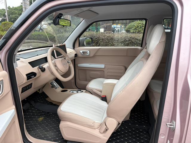 Certificated Pre-Owned Geely Panda 2024 200km Panda Mini Endurance Bear