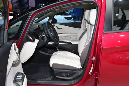 BYD Delfín