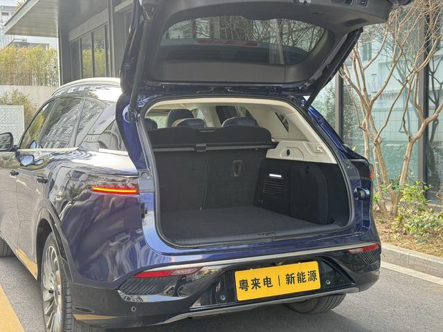 Certificated Pre-Owned VOYAH FREE 2021 4WD Standard Extended-Range Exclusive Luxury Package -u22599498