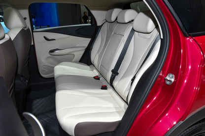 BYD Delfín