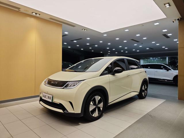 BYD دولفين 2023 مستعملة (نسخة مجانية)