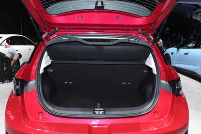 BYD Delfín