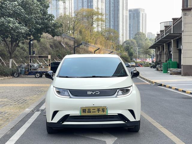 Certificated Pre-Owned BYD Dolphin 2024 Honor Edition 420km Freedom Edition -u22505013