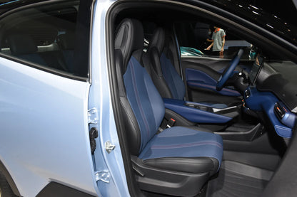 BYD Gaviota