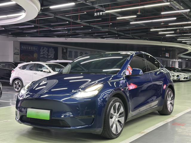 Pre-Owned Tesla Model Y 2021 Long Range All-Wheel Drive Version (3D3/3D7)