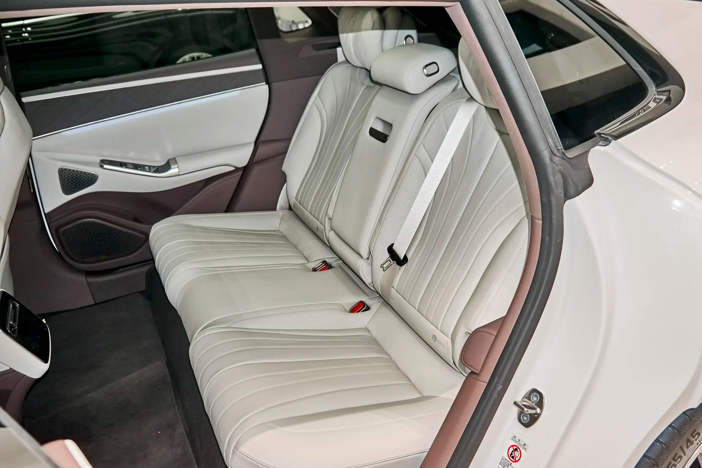 دينزا Z9GT EV