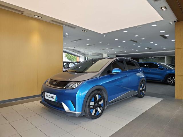 دولفين 2021 إصدار نايت مستعمل