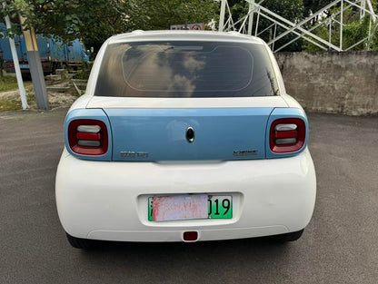 سيارة Oula Black Cat مستعملة موديل 2021، 301 كم، النسخة الأساسية