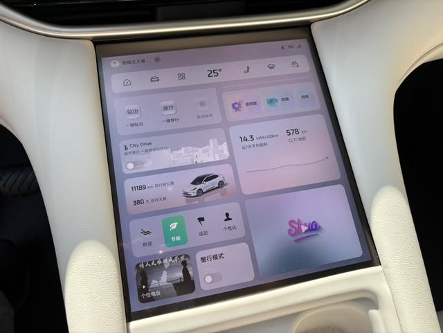 Pre-Owned IM LS6 2025 Long-Range Lizard Intelligent Enjoyment Version