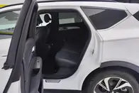 Pre-Owned Jihu Alpha T 2023 Forest Edition 480E 160kW