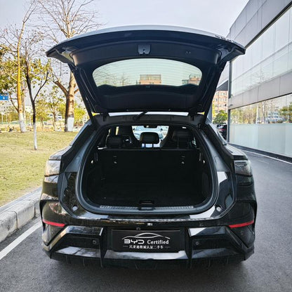 Certificated Used Sea Lion  07EV 2025 610 Intelligent Driving Version-u22031287