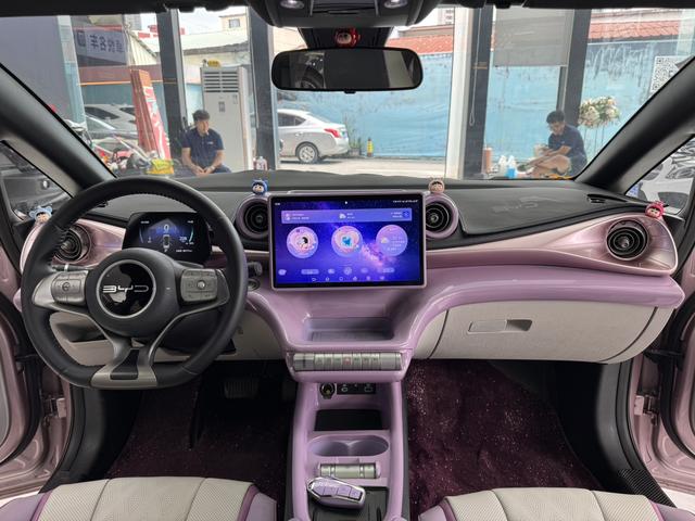 Certificated Pre-Owned BYD Dolphin 2024 Honor Edition 420km Fashion Edition -u23919482