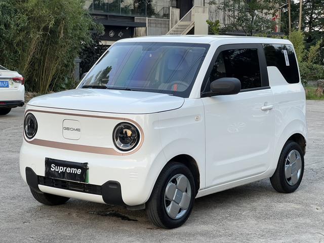 Certificated Pre-Owned Geely Geometry Panda 2024 200km Panda Mini Endurance Bear -u24002277
