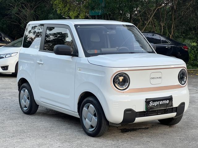 Certificated Pre-Owned Geely Geometry Panda 2024 200km Panda Mini Endurance Bear -u24002277