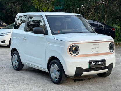 Certificated Pre-Owned Geely Geometry Panda 2024 200km Panda Mini Endurance Bear -u24002277