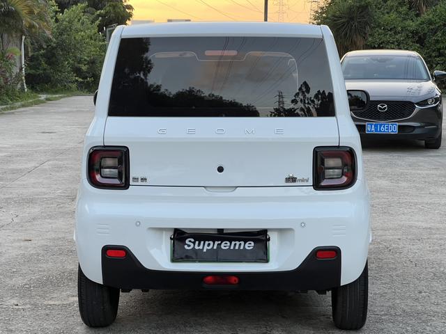 Certificated Pre-Owned Geely Geometry Panda 2024 200km Panda Mini Endurance Bear -u24002277
