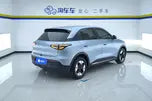 Certificated Pre-Owned Xingyuan 2025 310km Dream Edition -u24127548