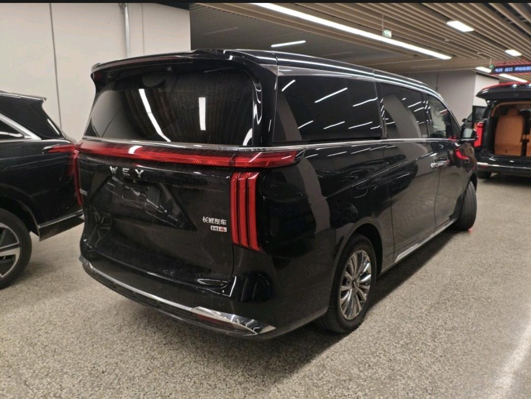 2025 WEY Gaoshan 4WD Gaoshan 9 -CG1697651