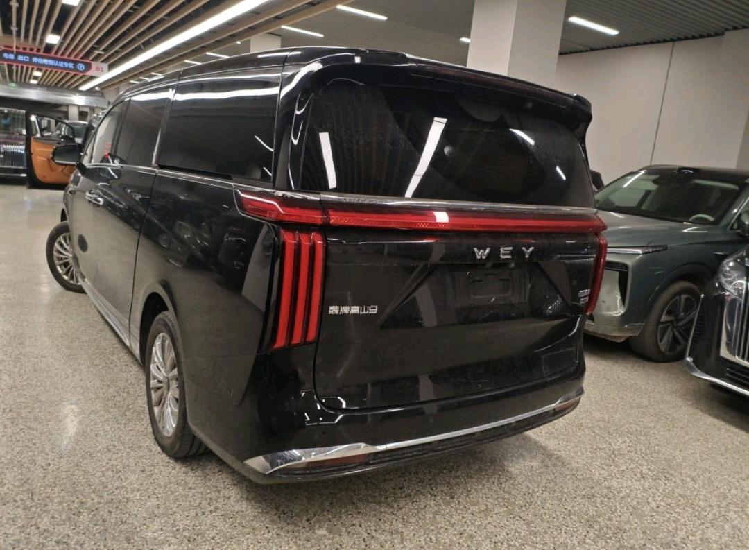 2025 WEY Gaoshan 4WD Gaoshan 9 -CG1697651