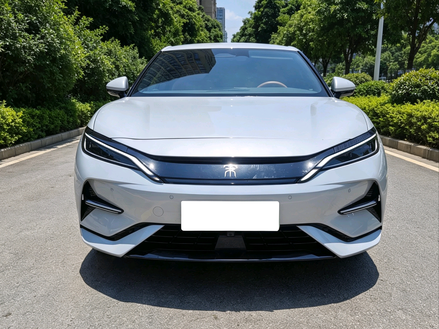 2025 Song L EV 662km Intelligent Driving Premium -CG1697653
