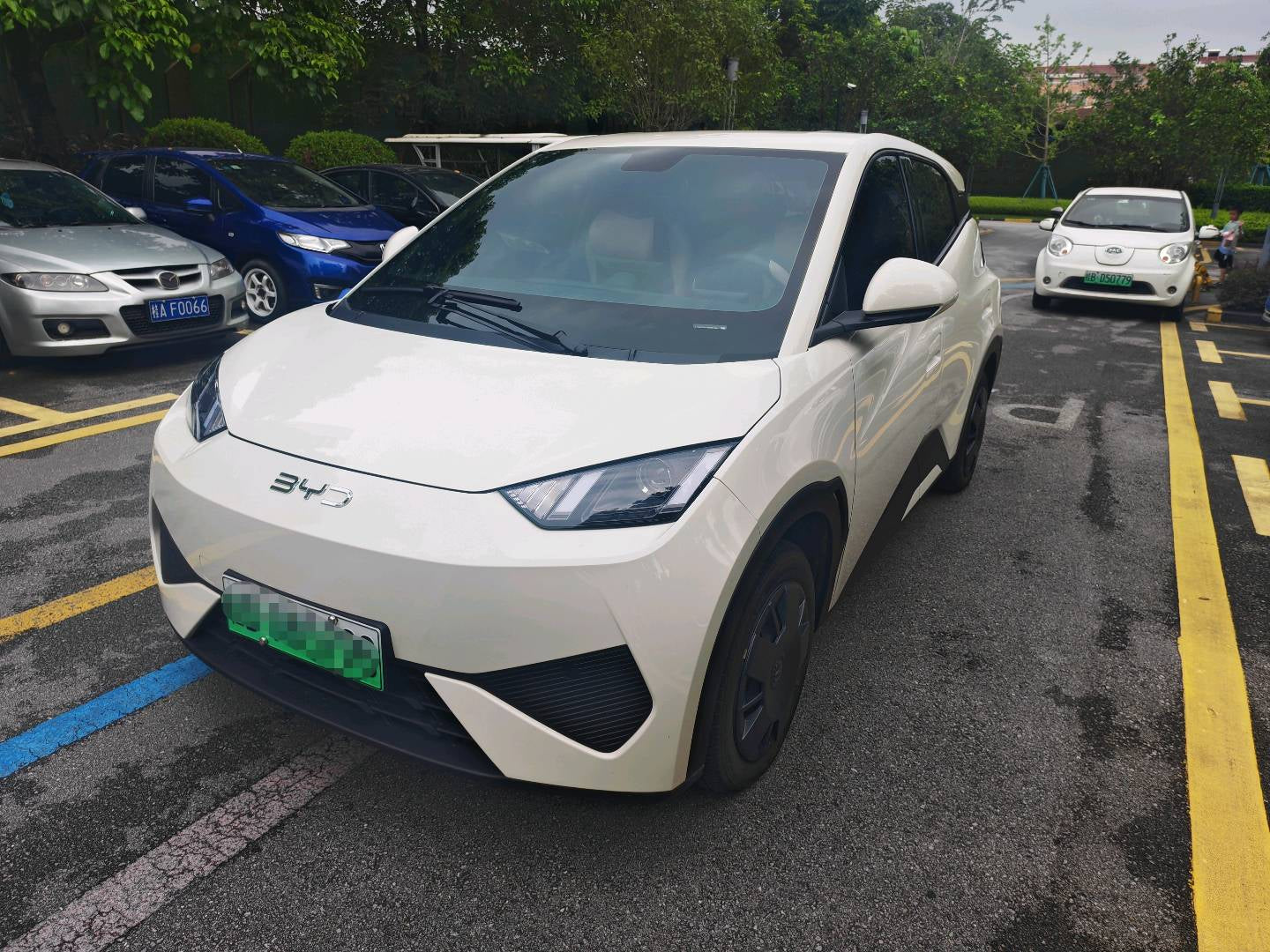 2025 Seagull 305km Dynamic Edition -CG1697774