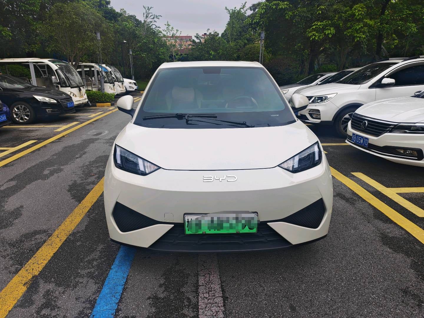 2025 Seagull 305km Dynamic Edition -CG1697774