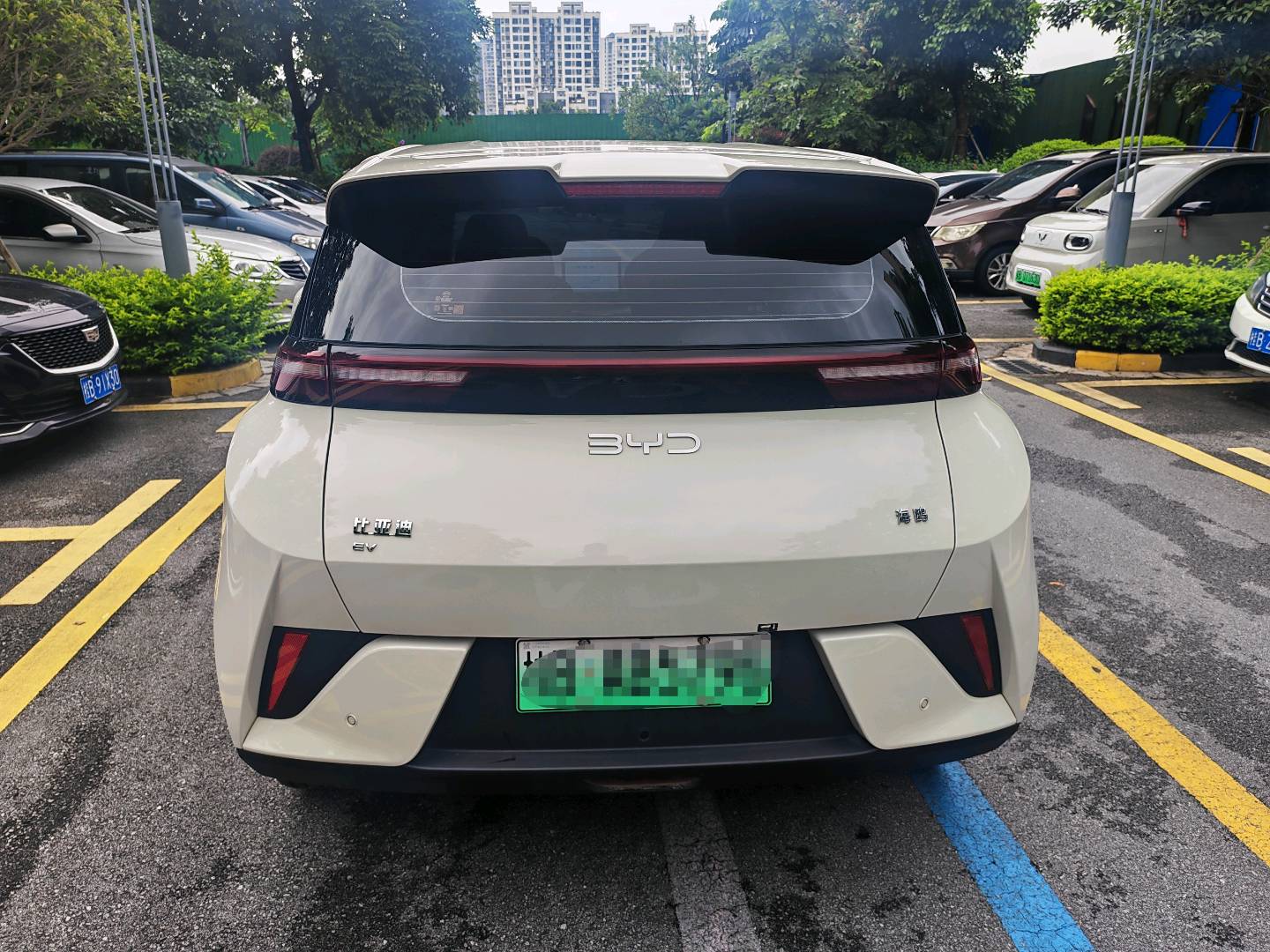 2025 Seagull 305km Dynamic Edition -CG1697774