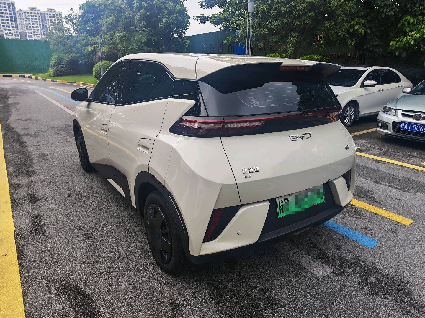 2025 Seagull 305km Dynamic Edition -CG1697774