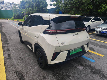 2025 Seagull 305km Dynamic Edition -CG1697774