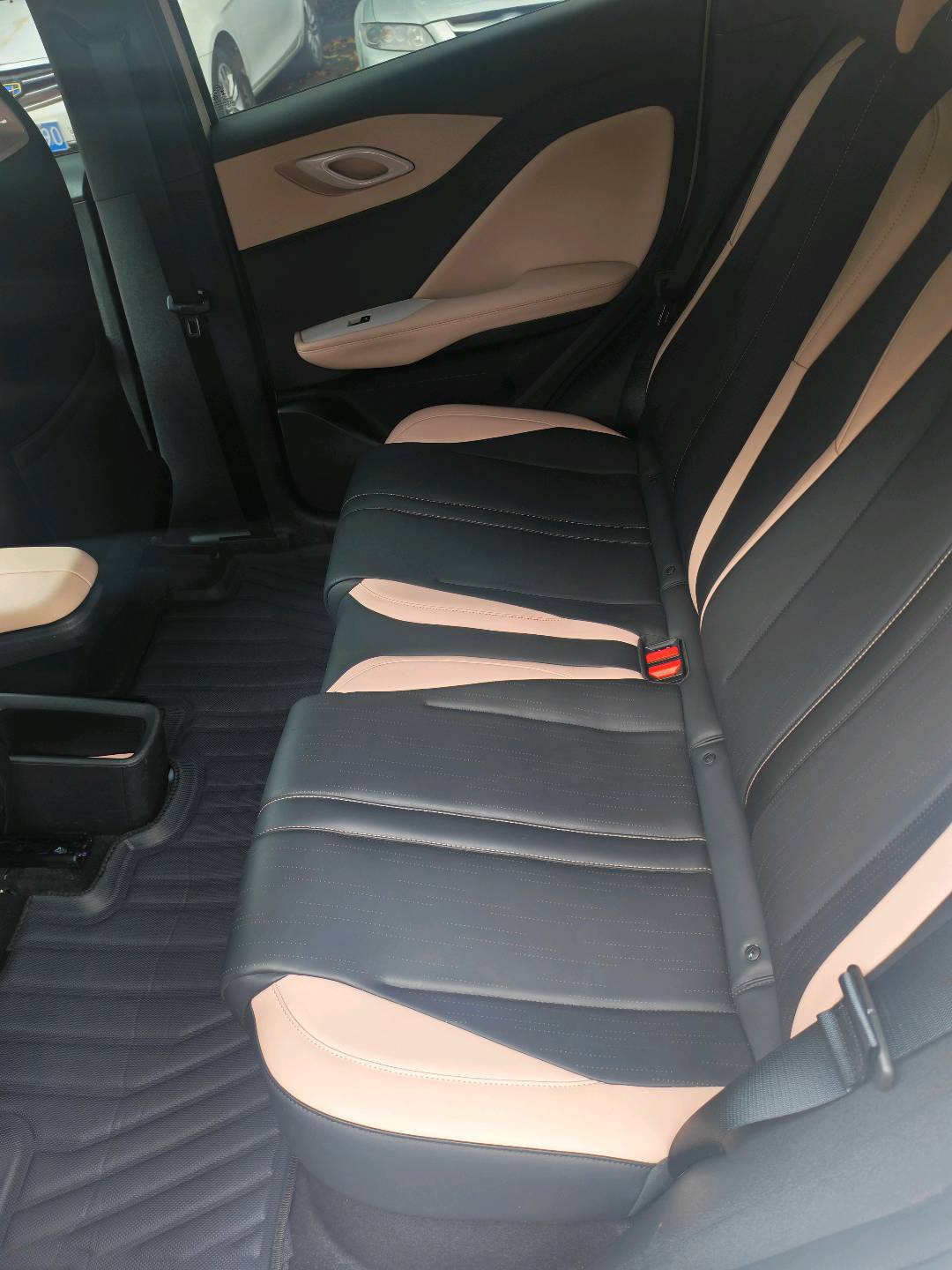 2025 Seagull 305km Dynamic Edition -CG1697774