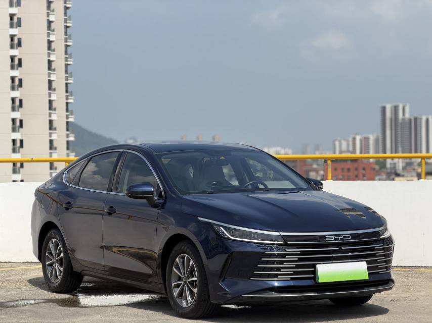 2024 Destroyer 05 Honor Edition DM-i 55KM Luxury -CG1697881
