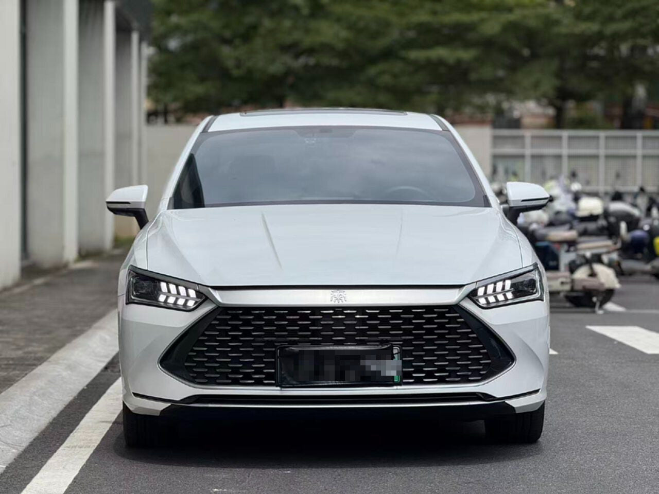 2023 BYD Qin PLUS New Energy 1.5L CVT Champion Edition DM-i 55km Ultra -CG1698740