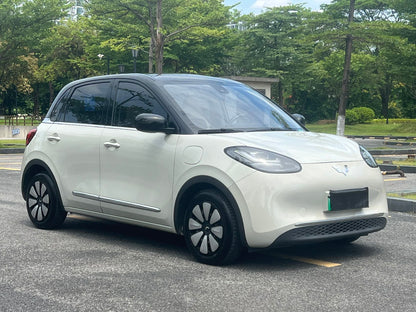 2023 Wuling Bingo Electric 333km Lingxi Connected -CG1698769