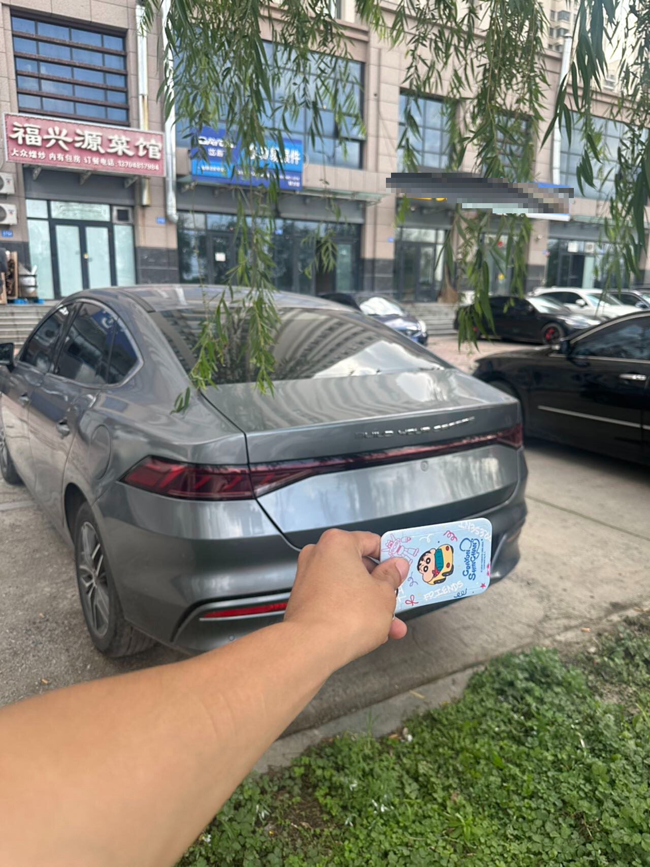 2023 BYD Qin PLUS New Energy 1.5L CVT Championship Edition DM-i 55km Premium -CG1698780