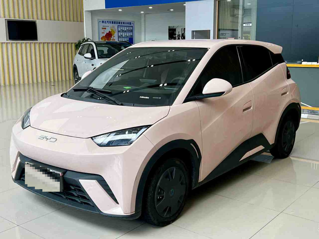 2025 Seagull 305km Vitality Edition -CG1698781