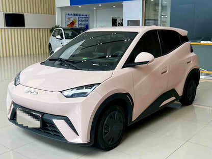 2025 Seagull 305km Vitality Edition -CG1698781