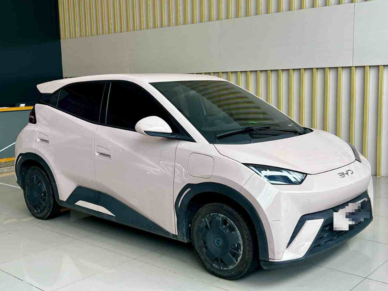 2025 Seagull 305km Vitality Edition -CG1698781