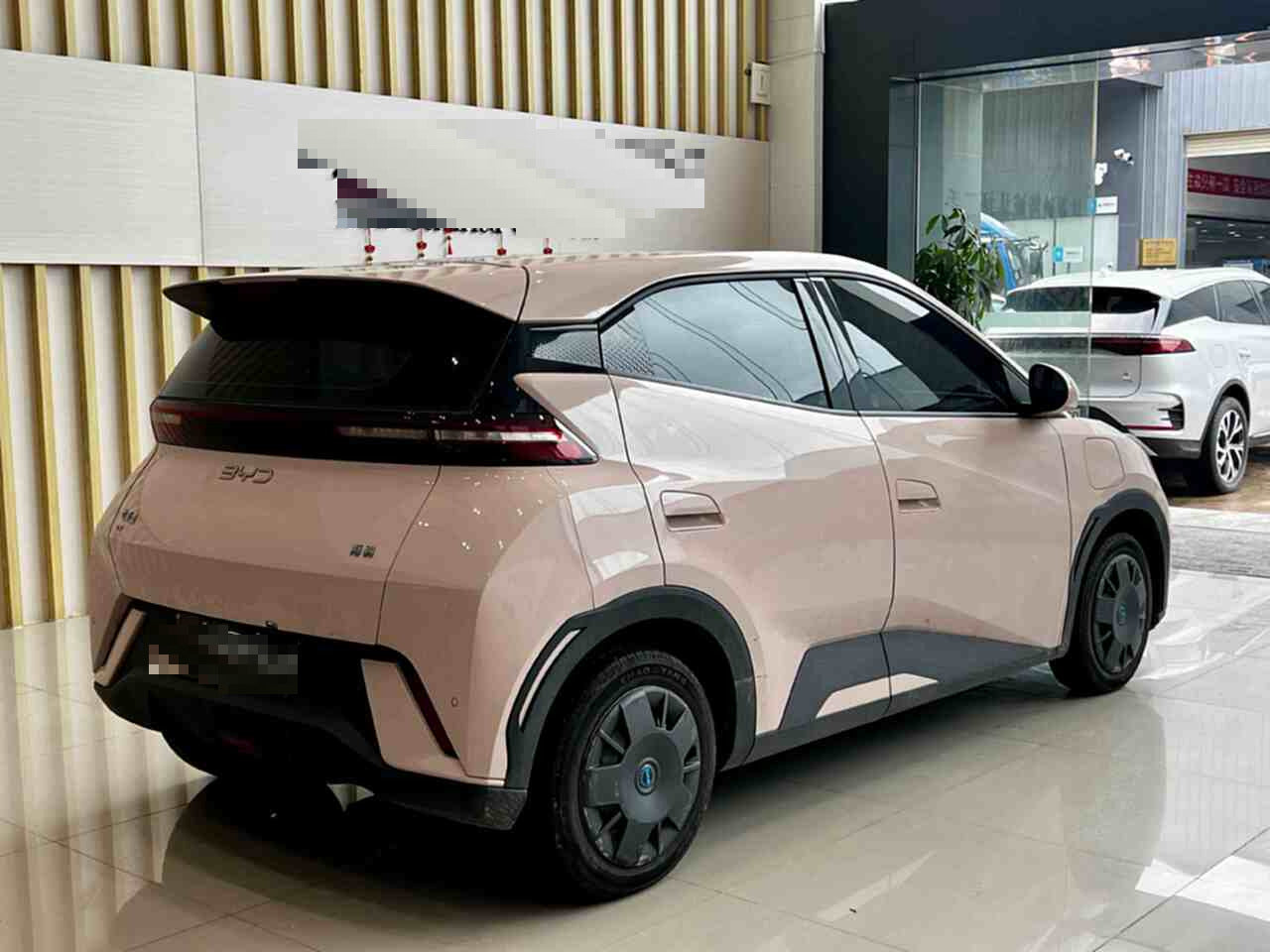2025 Seagull 305km Vitality Edition -CG1698781