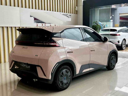 2025 Seagull 305km Vitality Edition -CG1698781