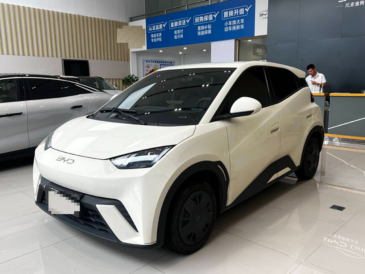 2025 Seagull 305km Vitality Edition -CG1698782
