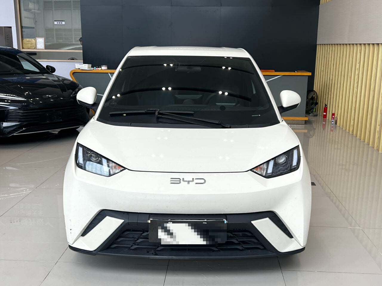 2025 Seagull 305km Vitality Edition -CG1698782